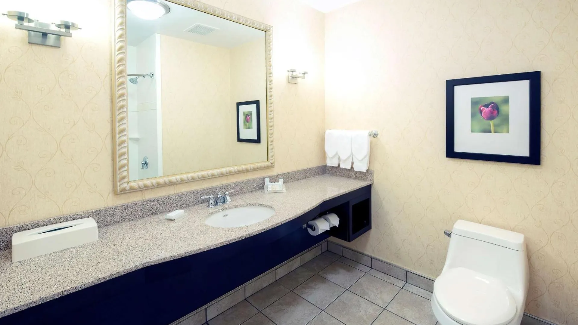 *** Hotel Hilton Garden Inn Ottawa Airport Canadá