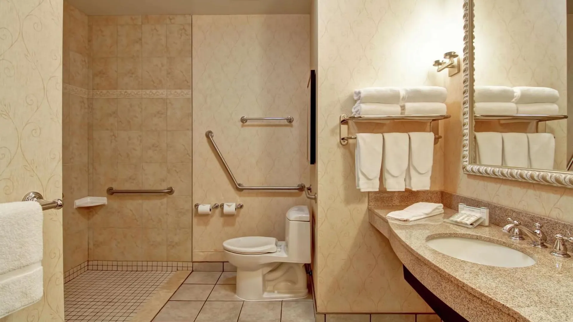 Hotel Hilton Garden Inn Ottawa Airport